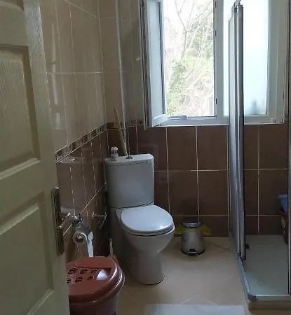 Sariyer/buyukdere Bogaz Manzarali Daire Apartment *