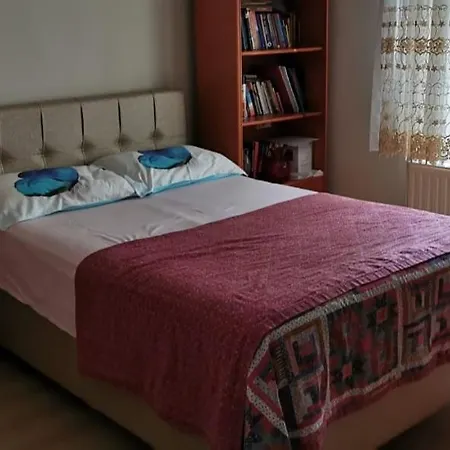 Sariyer/buyukdere Bogaz Manzarali Daire Apartment Istanbul